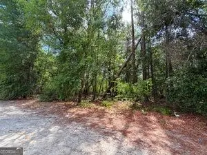 0 Lakeview Drive, Alamo, GA 30411 - #1