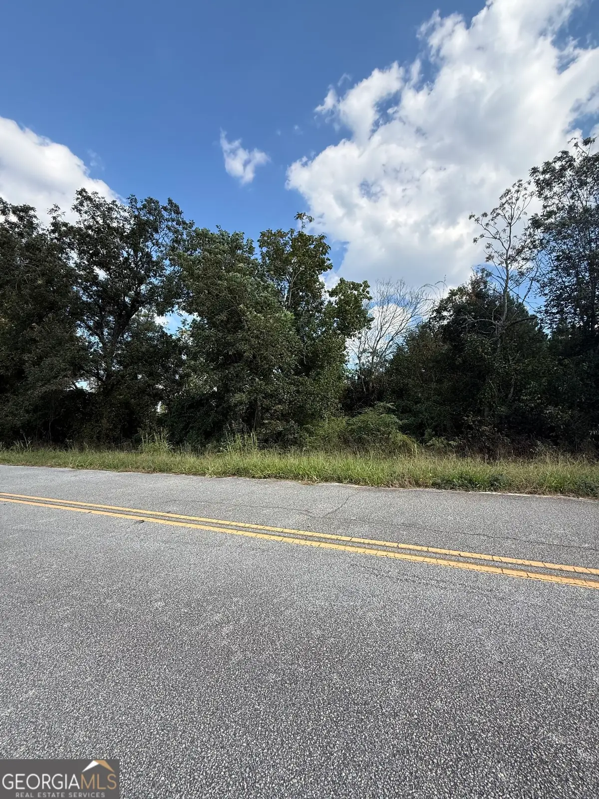 LOT 1 Harrison Davisboro Road, Davisboro, GA 31018 - #1