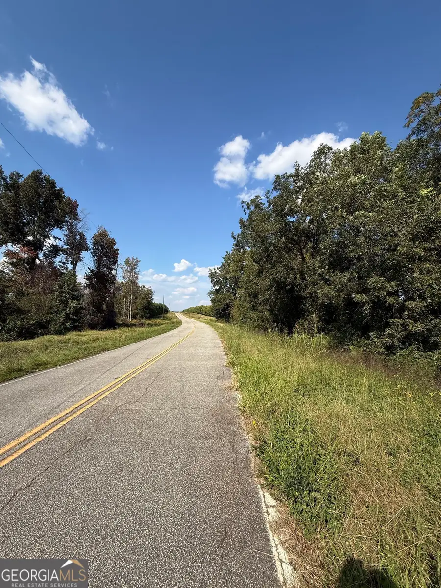 LOT 1 Harrison Davisboro Road, Davisboro, GA 31018 - #2
