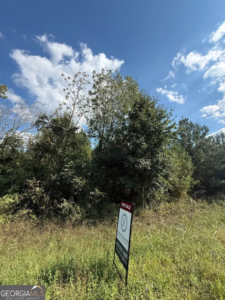 LOT 1 Harrison Davisboro Road, Davisboro, GA 31018 - #3