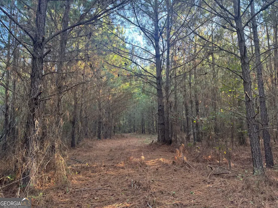 TRACT 11 Butler Road, Franklin, GA 30217 - #2