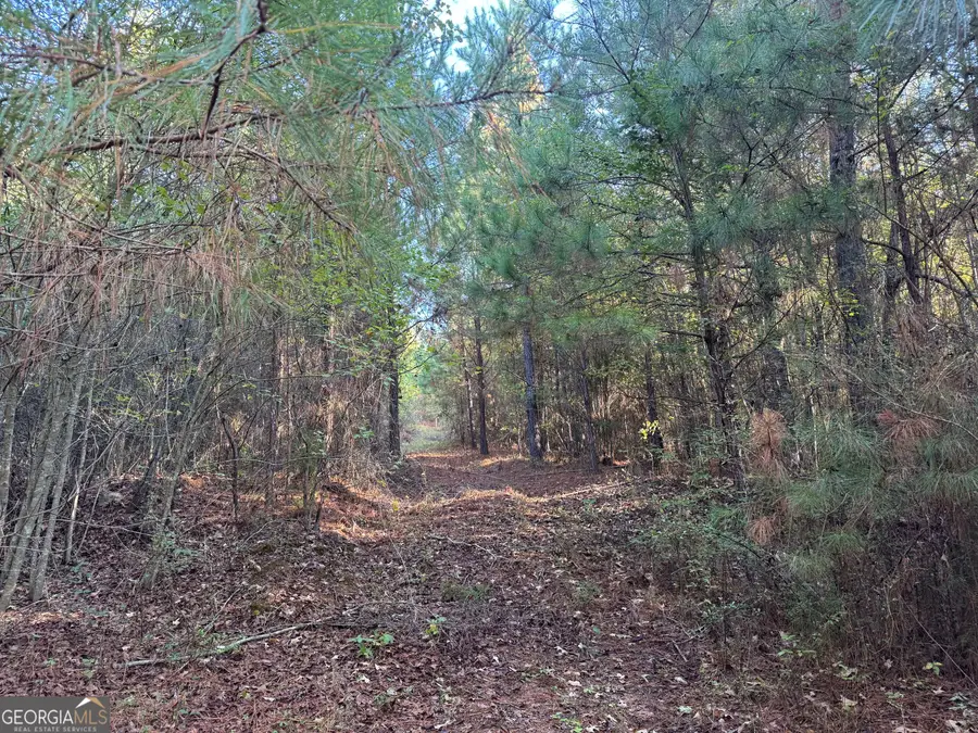 TRACT 12 Butler Road, Franklin, GA 30217 - #2