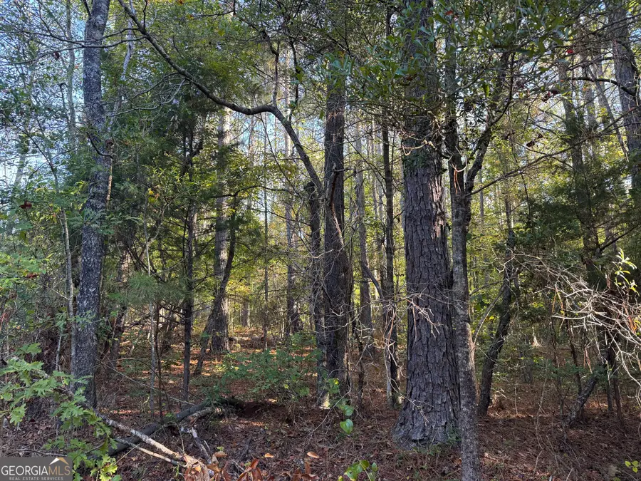 TRACT 12 Butler Road, Franklin, GA 30217 - #3