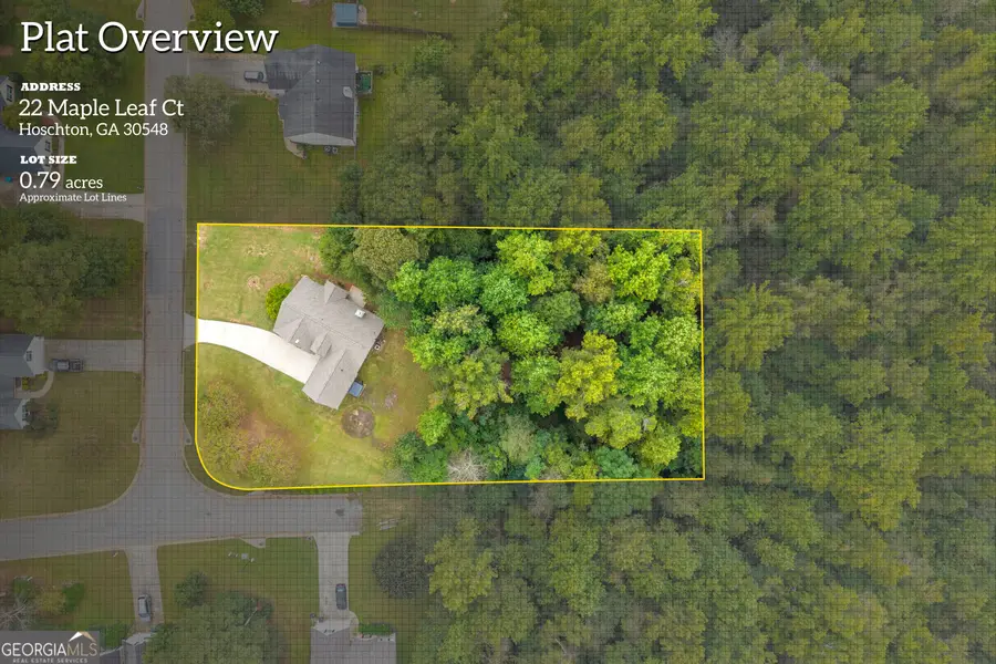 22 Maple Leaf Court, Hoschton, GA 30548 - #3