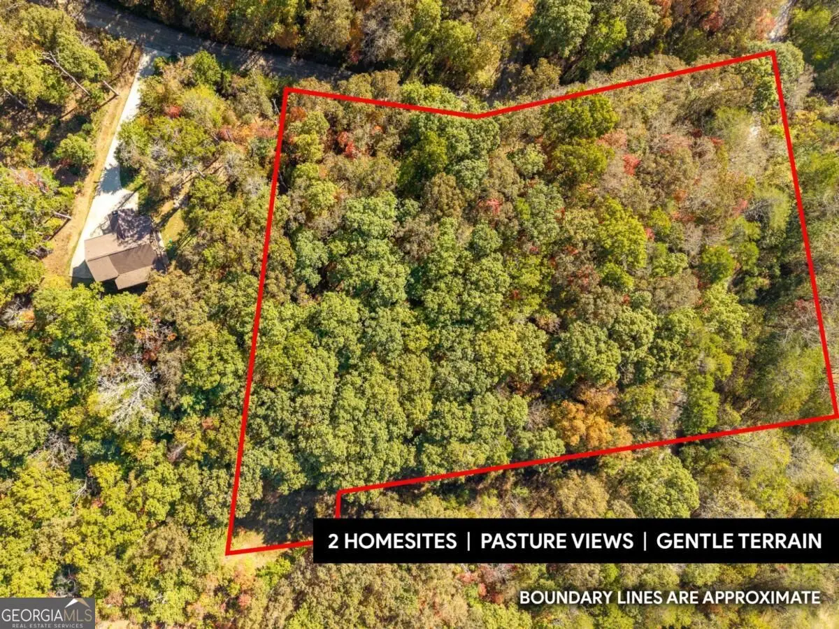 3.14 AC Hot House Drive, Mineral Bluff, GA 30559 - #1