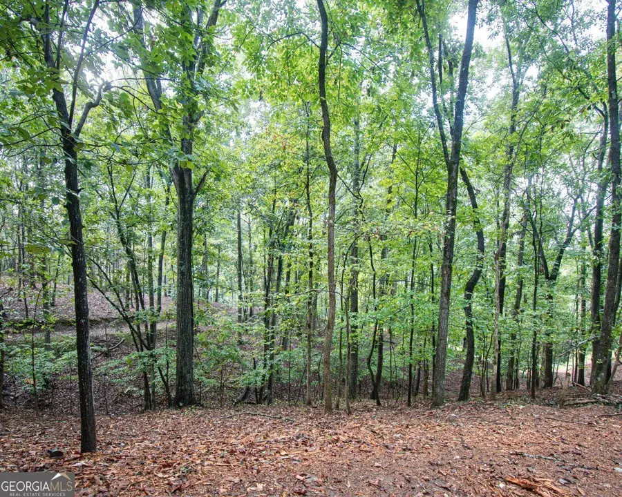 480 Pin Hook Road, Ranger, GA 30734 - #3