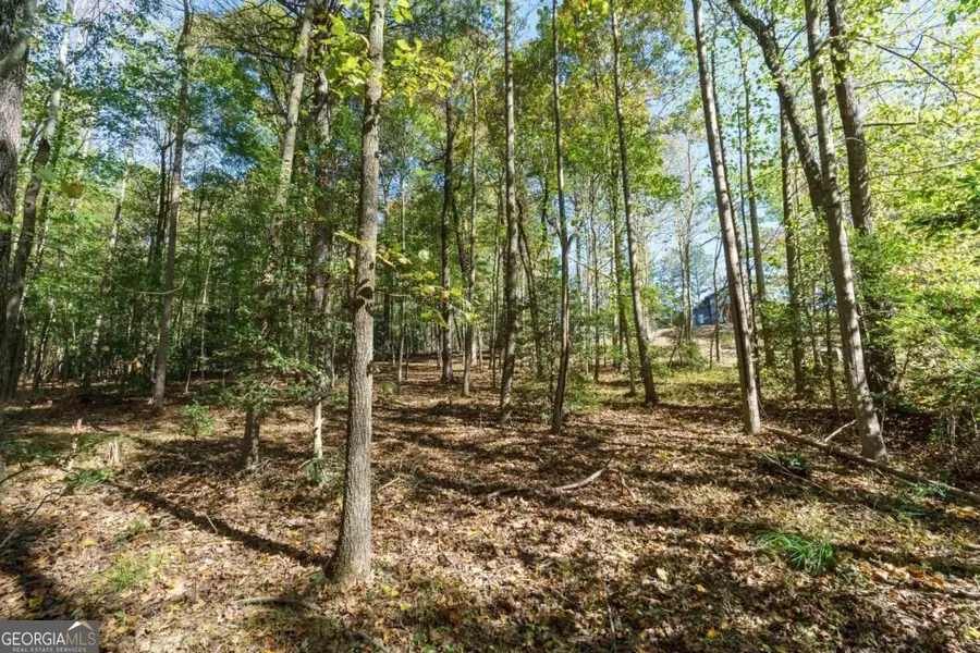 140 Highpoint Ridge Court #15, Ellijay, GA 30540 - #2