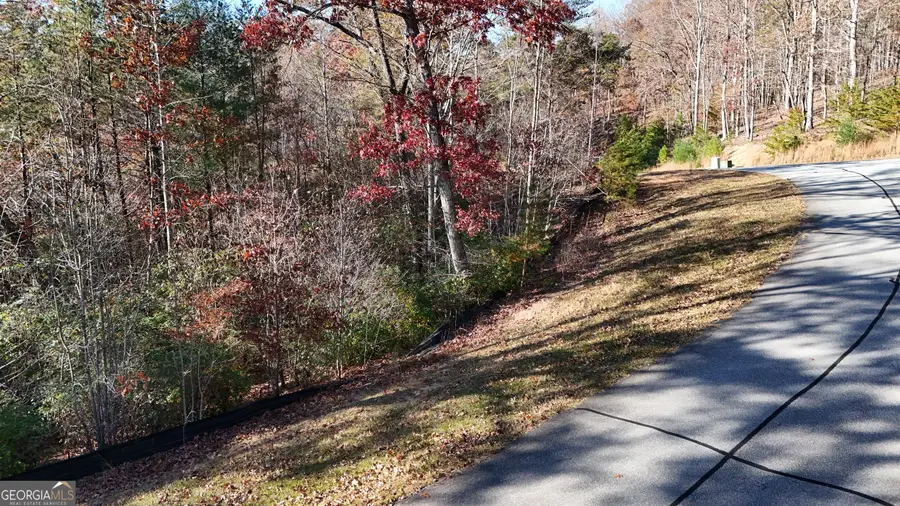 LOT 197 Springwinds Drive, Cleveland, GA 30528 - #2