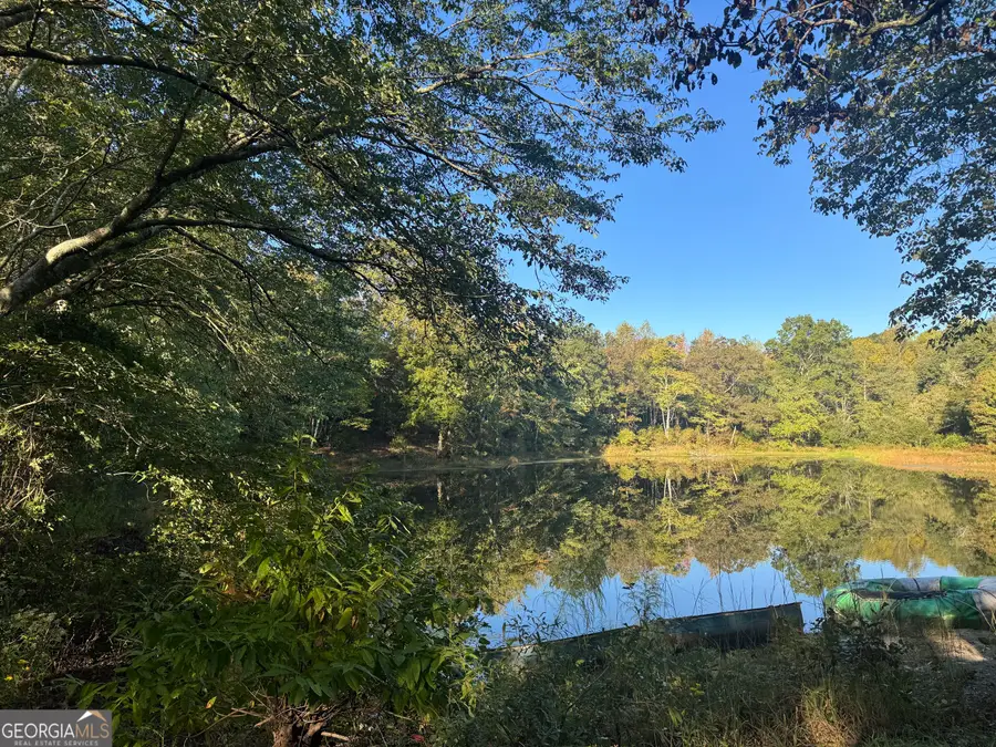 TRACT 9 Butler Road, Franklin, GA 30217 - #3