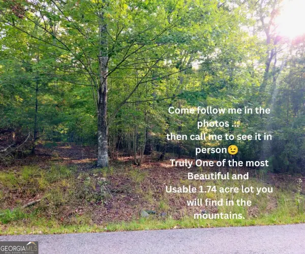 LOT 5 Lola Mae Way #5, Morganton, GA 30560