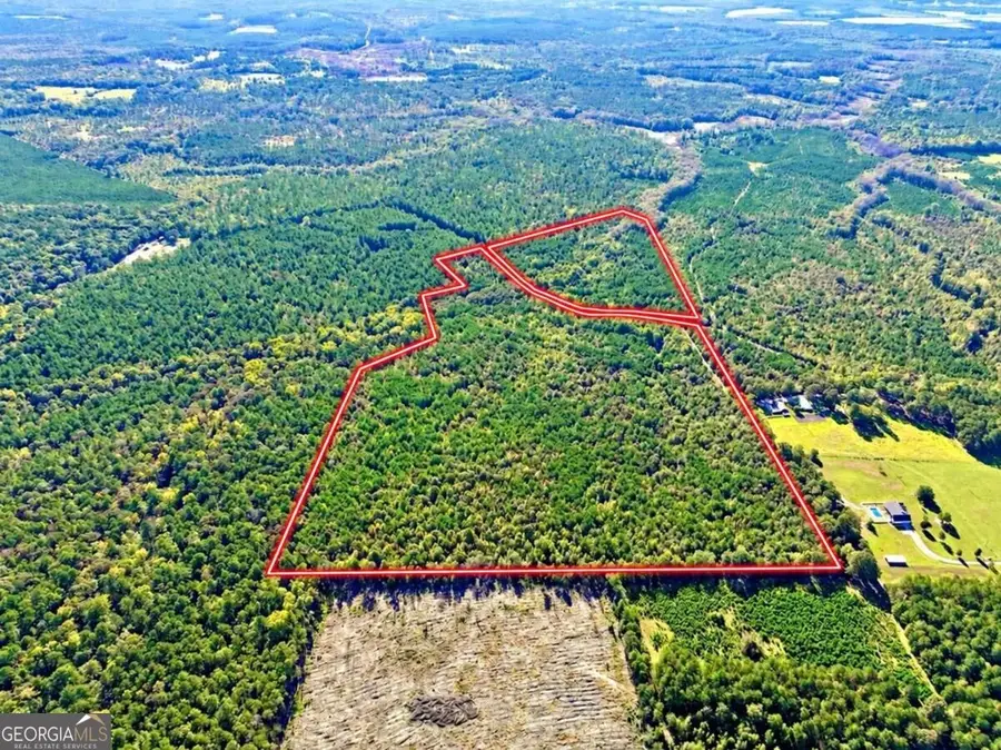 475 Holloway-ray Road, McIntyre, GA 31054 - #3