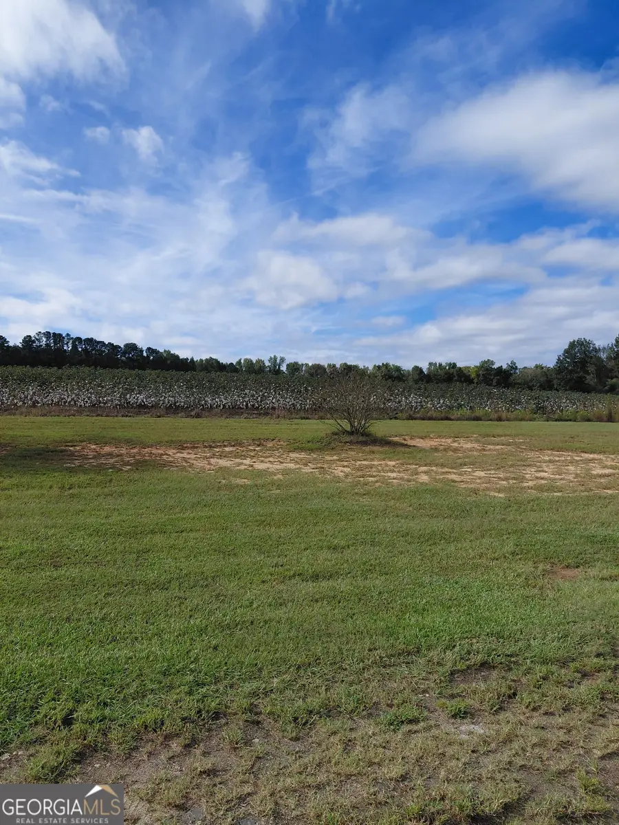 3636 Fountain Springs Road, Millen, GA 30442 - #3