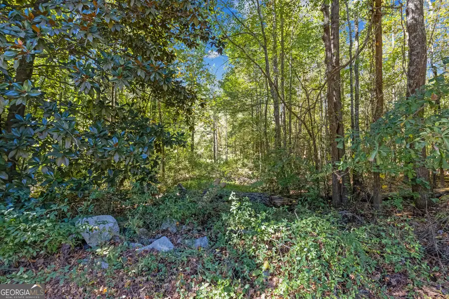 0 Charles Street, Union City, GA 30291 - #3