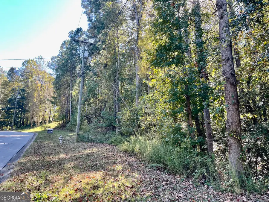237 Emerald Pines Drive, Dallas, GA 30157 - #3