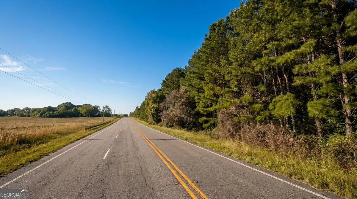 19484 Highway 41, Unadilla, GA 31091 - #1