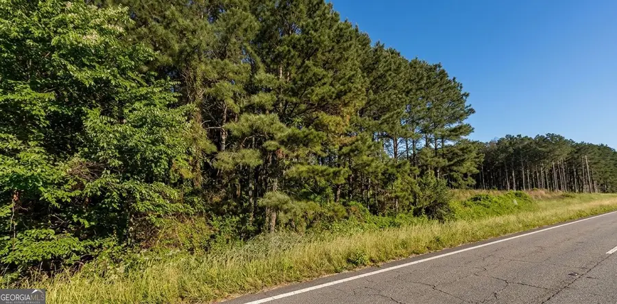 19484 Highway 41, Unadilla, GA 31091 - #2
