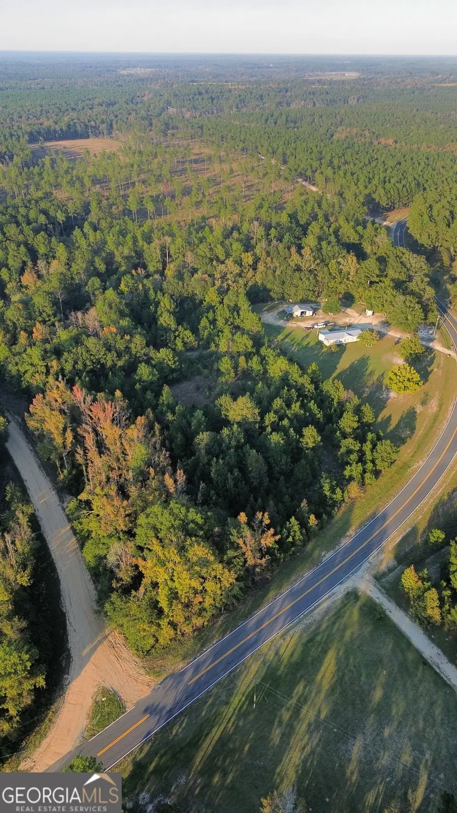1160 Pleasant Springs Church Road, East Dublin, GA 31027 - #3
