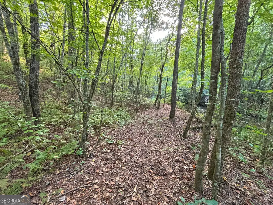 500 Mt Springer Road, Ellijay, GA 30540 - #2