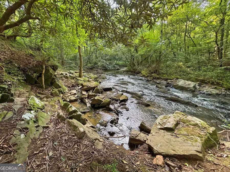 500 Mt Springer Road, Ellijay, GA 30540 - #3