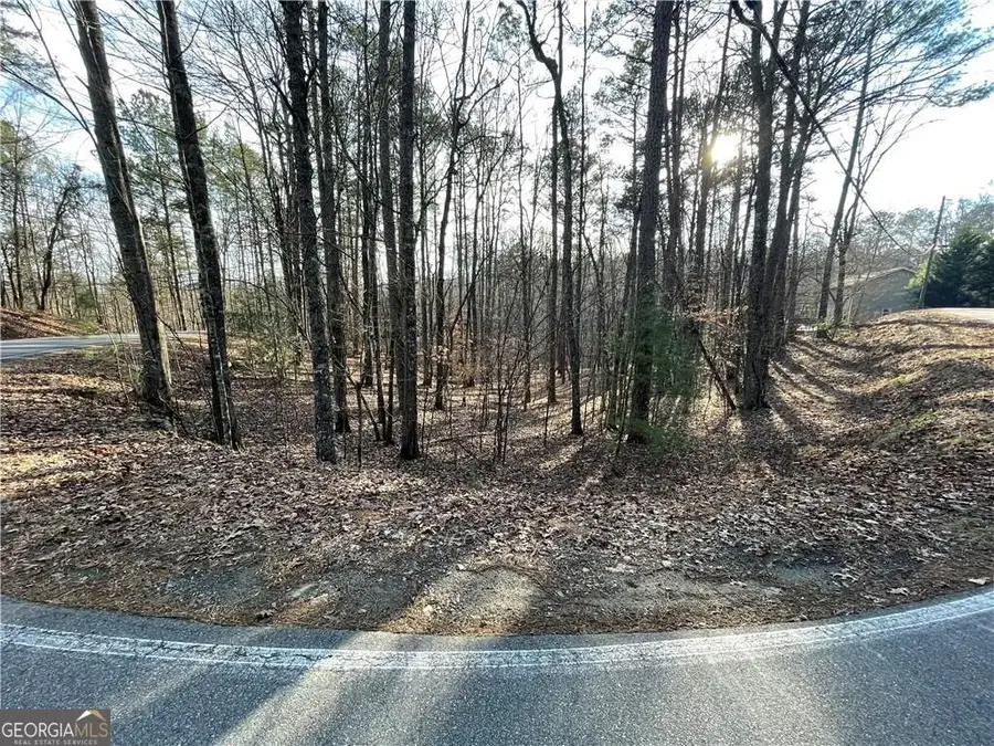 397EM Lemmon Drive, Ellijay, GA 30540 - #2