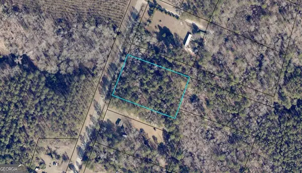 N/A Mccoy Church Road, Burke, GA 30380