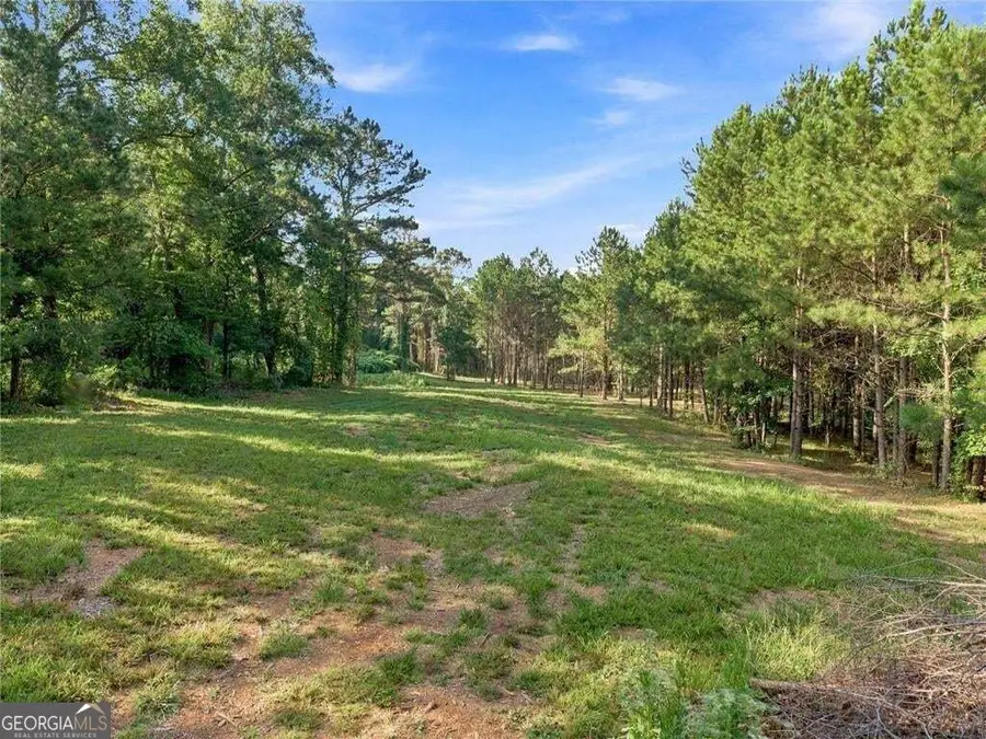 283 Leo Taylor Lane, Ball Ground, GA 30107 - #3