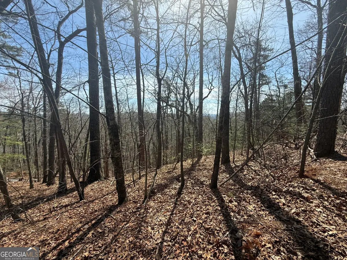 TRACT 3A Big View Lane, Clayton, GA 30525 - #1