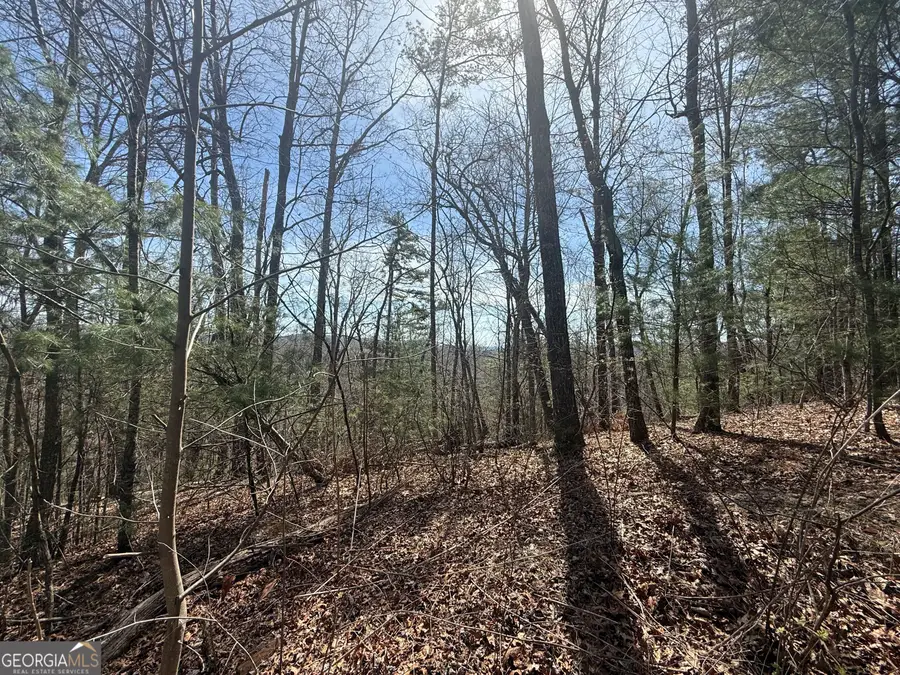 TRACT 3A Big View Lane, Clayton, GA 30525 - #3