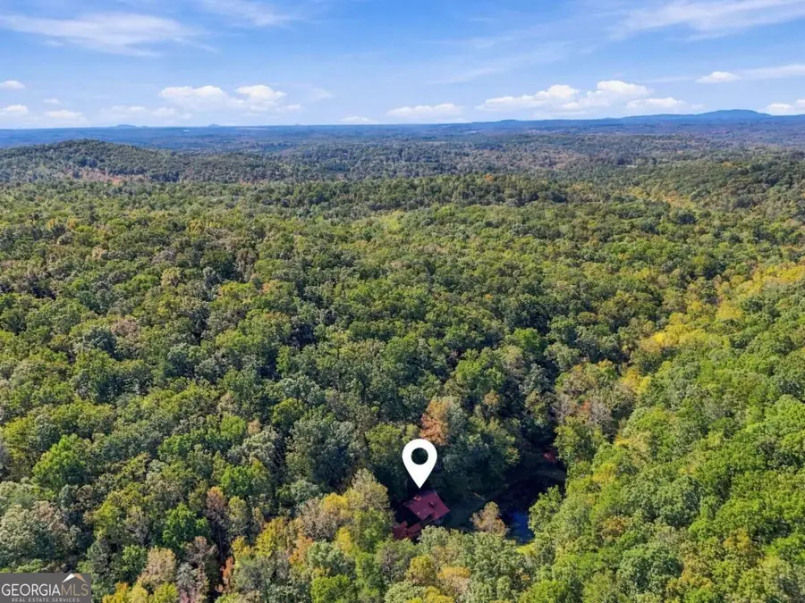 163 Poole Road, Ball Ground, GA 30107 - #3