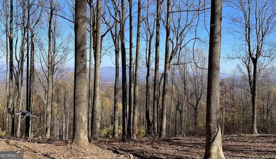0 Andes Ridge, Ellijay, GA 30536 - #3