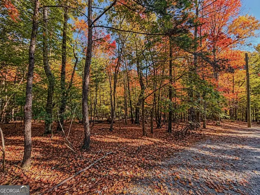 LOT 3118 Opal Lane #00, Ellijay, GA 30540 - #3
