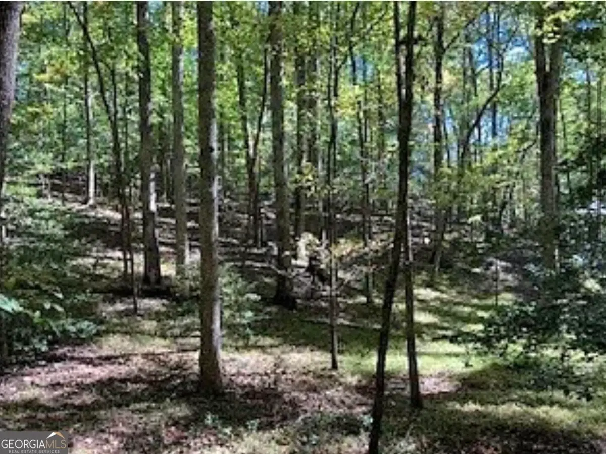 0 Goldmine Drive, Ellijay, GA 30536 - #1