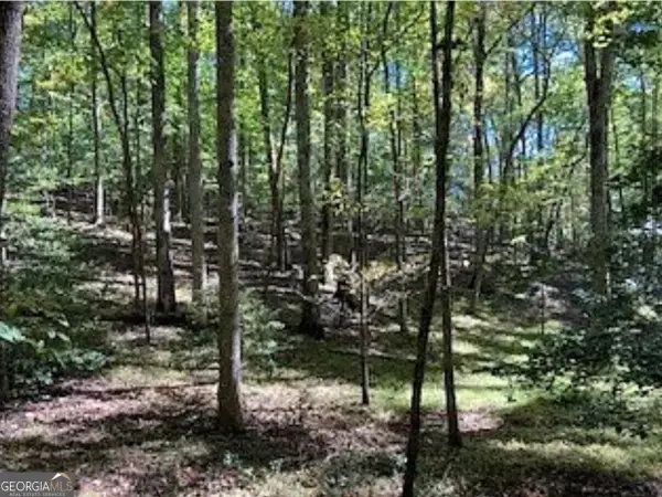 0 Goldmine Drive, Ellijay, GA 30536