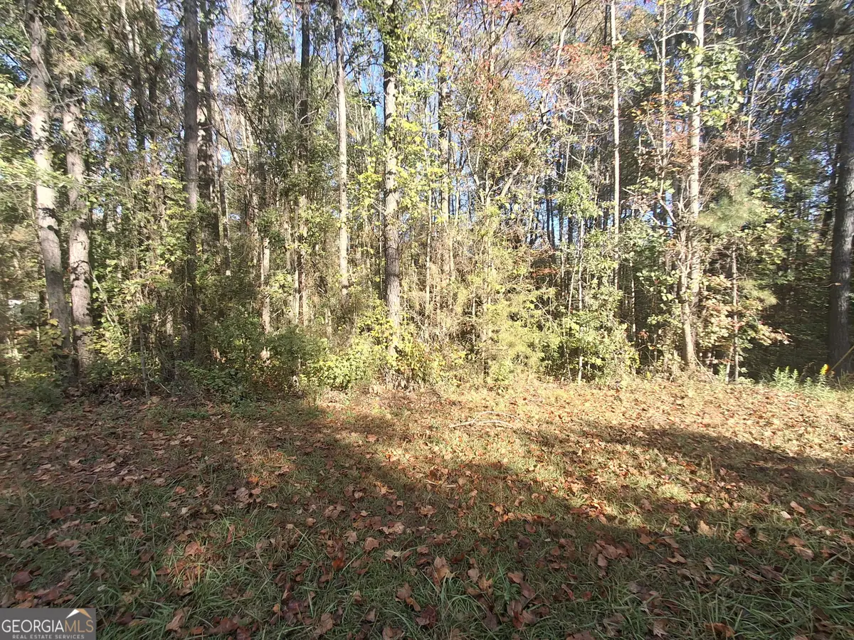 0 Old Hamilton Mills Road, Bremen, GA 30110 - #1