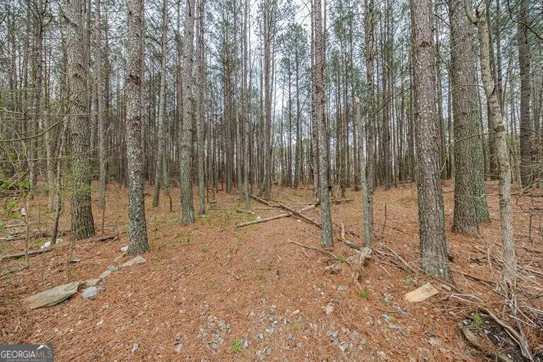 13585A Arnold Mill Rd Road, Milton, GA 30075 - #3