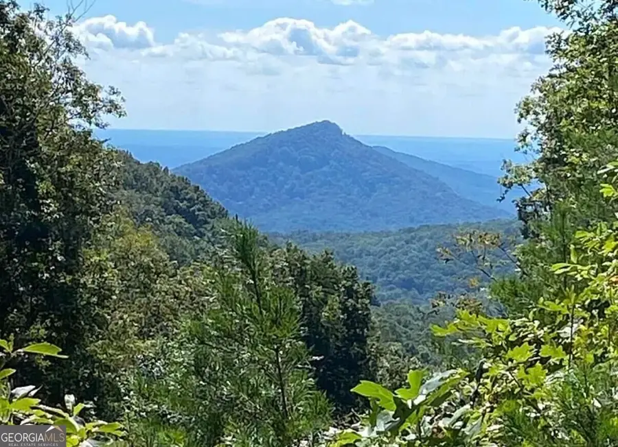 LOT 242 Andes Ridge, Jasper, GA 30143 - #2