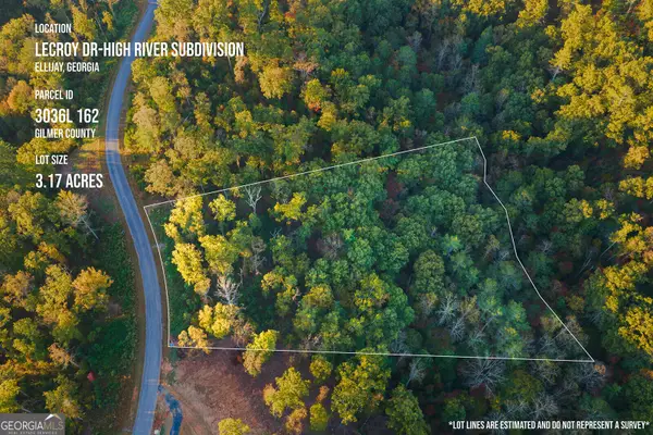 0 Lecroy Drive, Ellijay, GA 30540