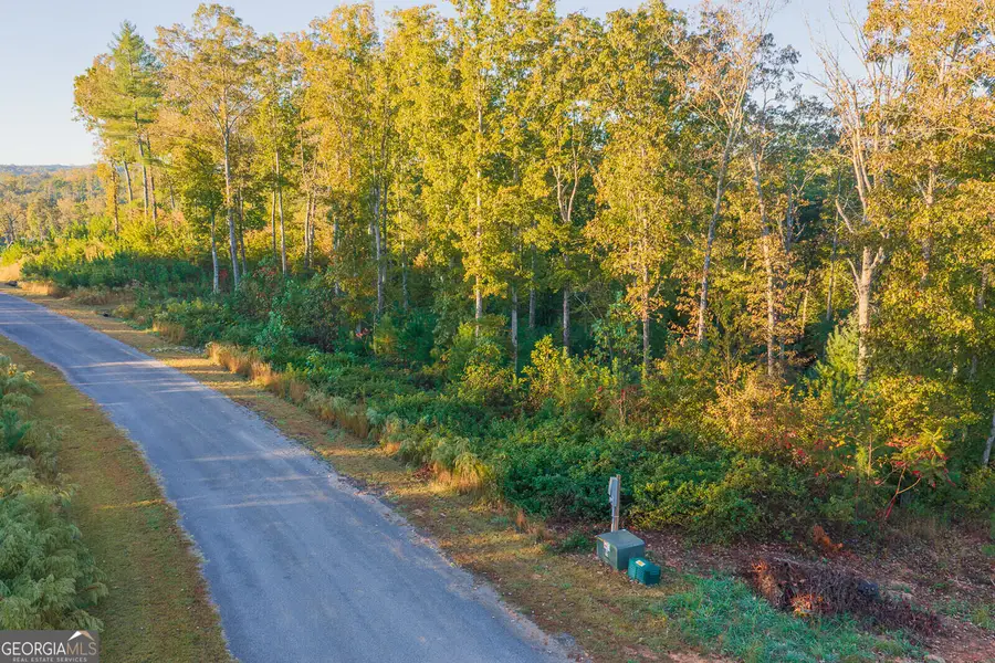 0 Lecroy Drive, Ellijay, GA 30540 - #3