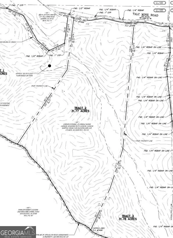 TRACT2 Talc Mine Road, Jasper, GA 30143 - #1