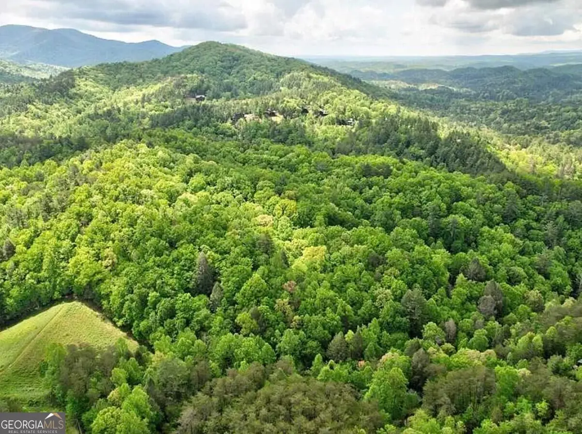 0 Laurel Ridge Road, Ellijay, GA 30540 - #1
