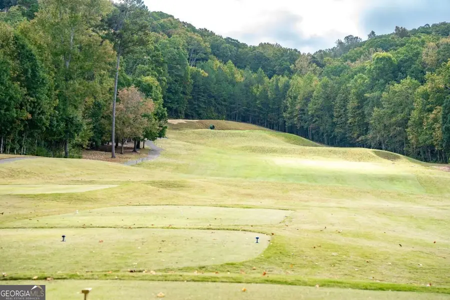 6415 E Hills Court, Cumming, GA 30041 - #3