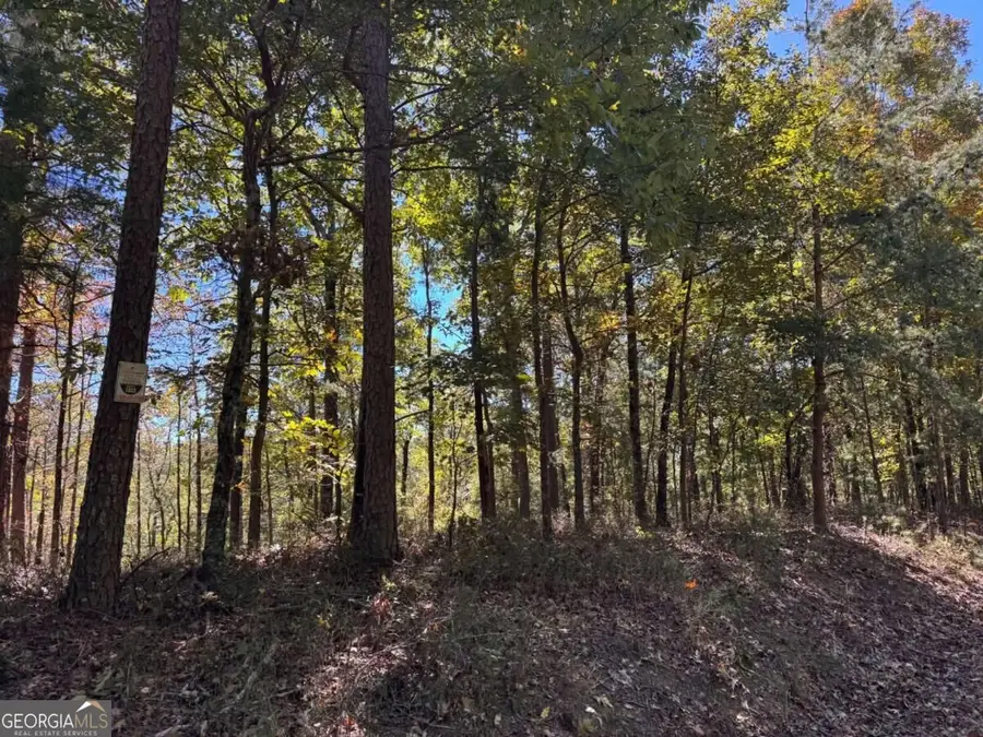 1213 Jewel Court Ne, Ranger, GA 30734 - #2