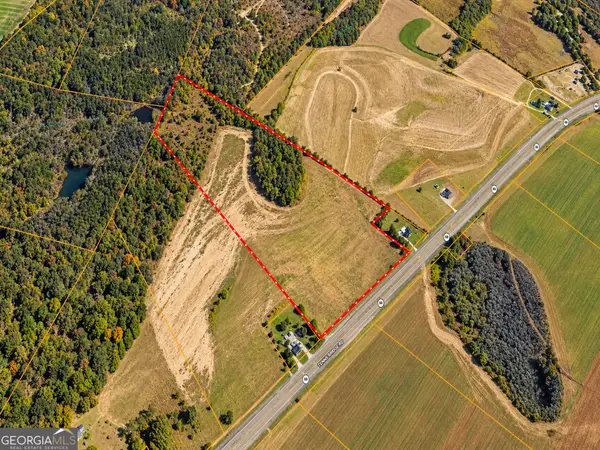 54 ACRES Ga Highway 88 W, Stapleton, GA 30823