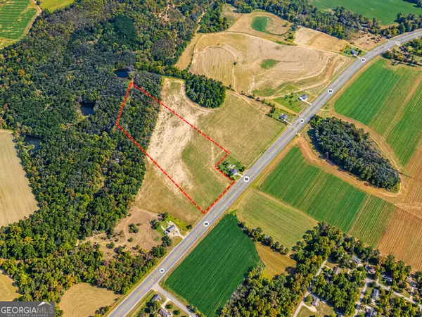 39 ACRES Ga Highway 88 W, Stapleton, GA 30823