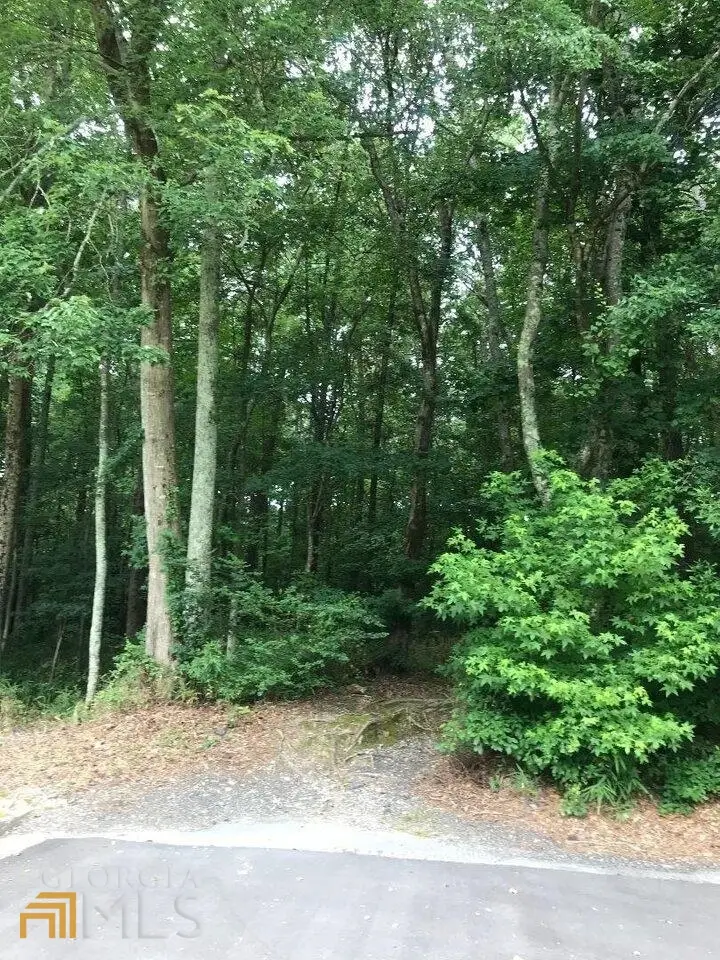 1940 Lee Road, Lithia Springs, GA 30122 - Image #2