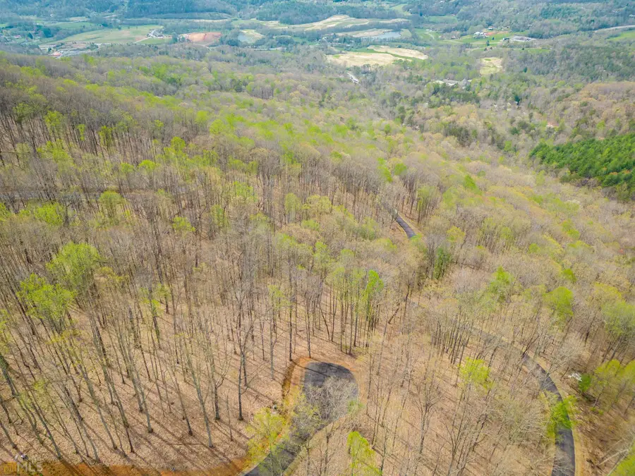 0 Rocky Knob Estates, Young Harris, GA 30582 - #3