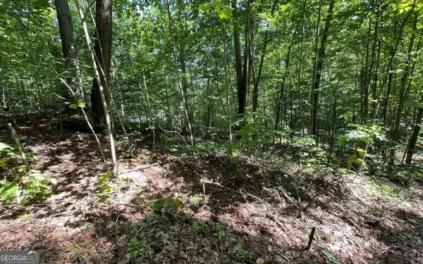 LOT 8D Eagle Heights, Hiawassee, GA 30546