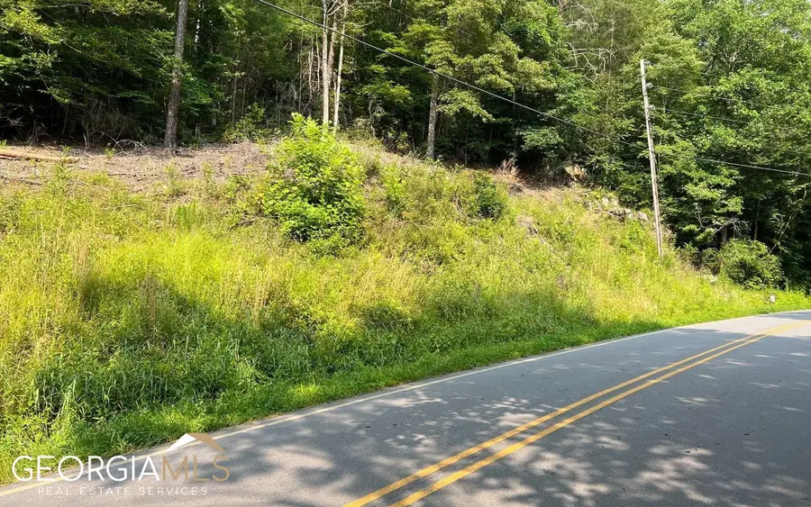 LOT 3 Fires Creek Road, Hayesville, NC 28904 - #3