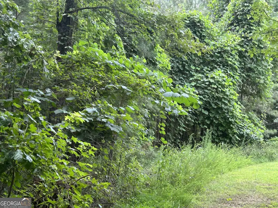 4923 Amsler Road, Ellenwood, GA 30294 - Image #2