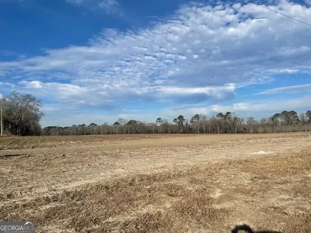 0 S Hwy 301, Register, GA 30452 - Image #2